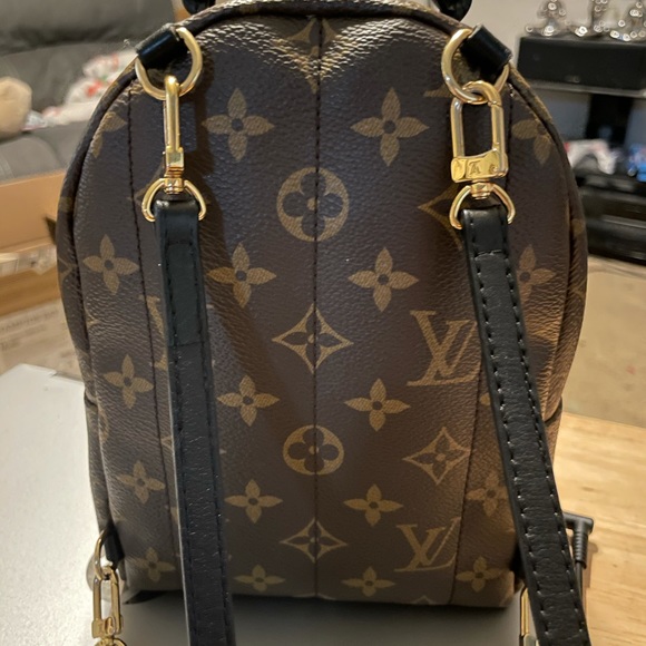 Louis Vuitton Palm Springs Mini main image 8